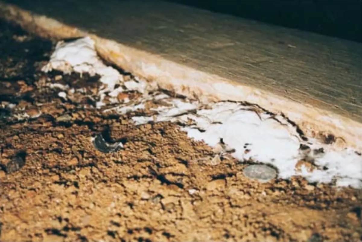 An image of mold growing from lack of proper ventilation