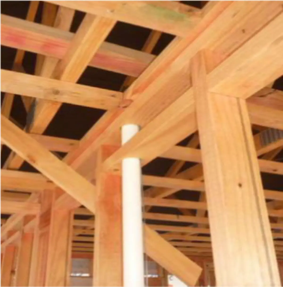 Photograph showing timber framing with vertical studs and beams, and a white pipe running through the structure