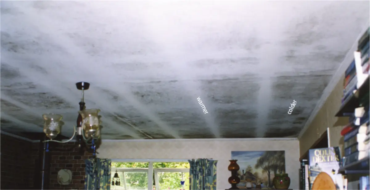 Photograph showing dark mould staining across the surface of an interior ceiling