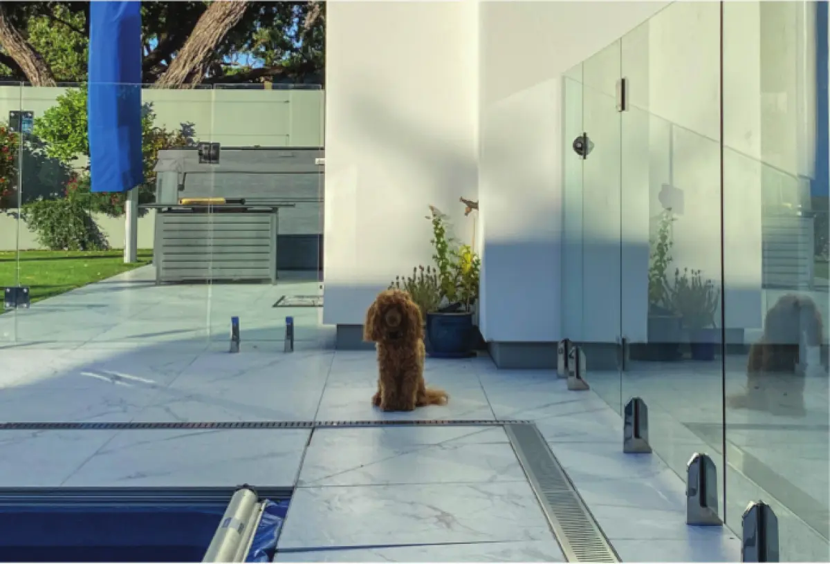 Photograph showing a small dog sitting on a patio