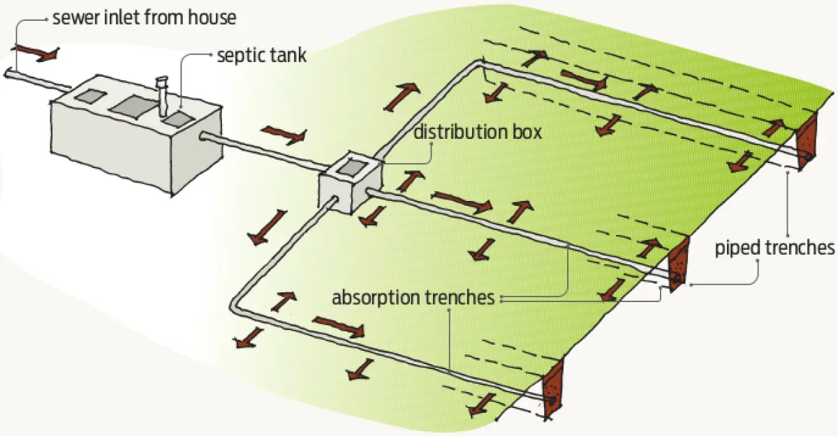 Diagram showing a septic system with a tank, distribution box, and absorption trenches spreading wastewater into the ground