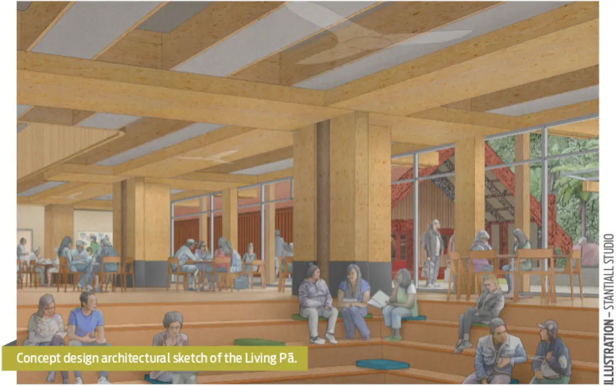 An image of a concept design architectural sketch of the living pa