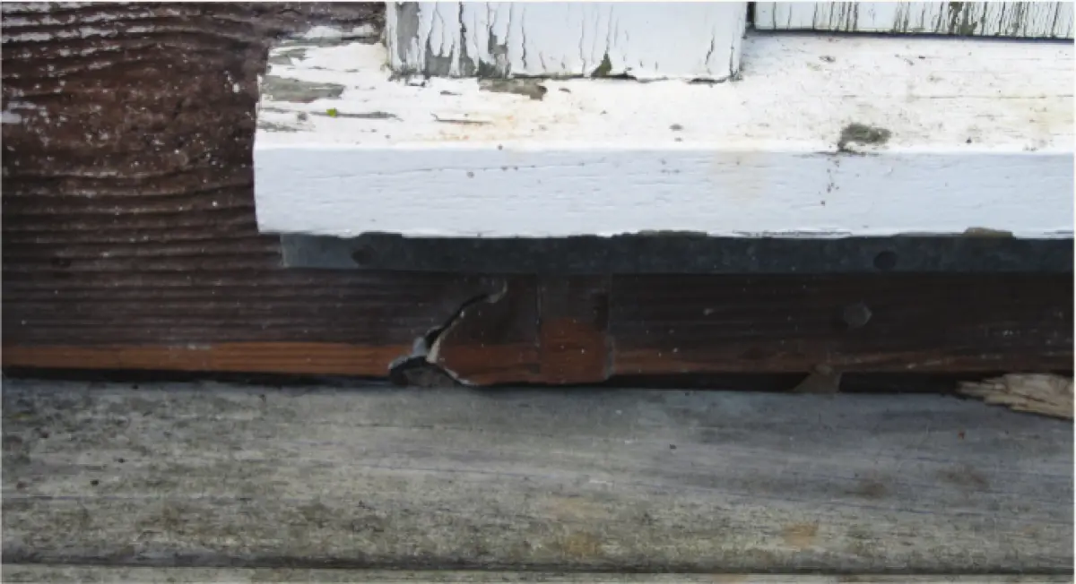 Photograph showing a close‑up of a window sill and adjacent wall cladding, with peeling paint and visible timber deterioration beneath the sill