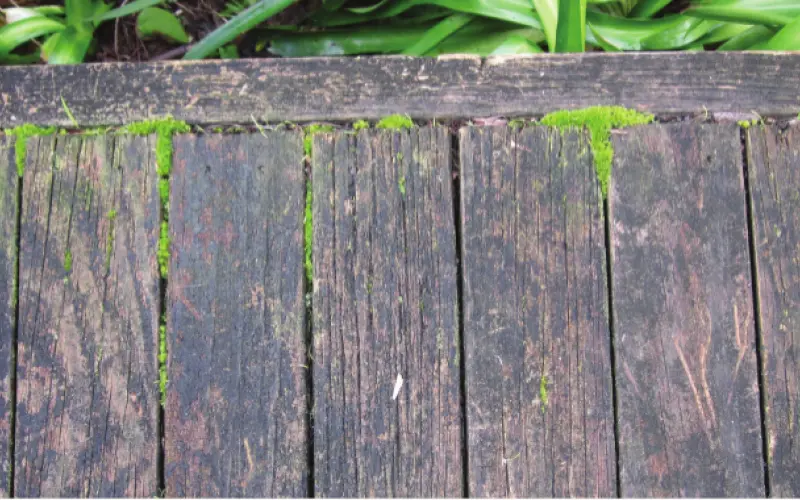 Timber decks – common problems and repairs