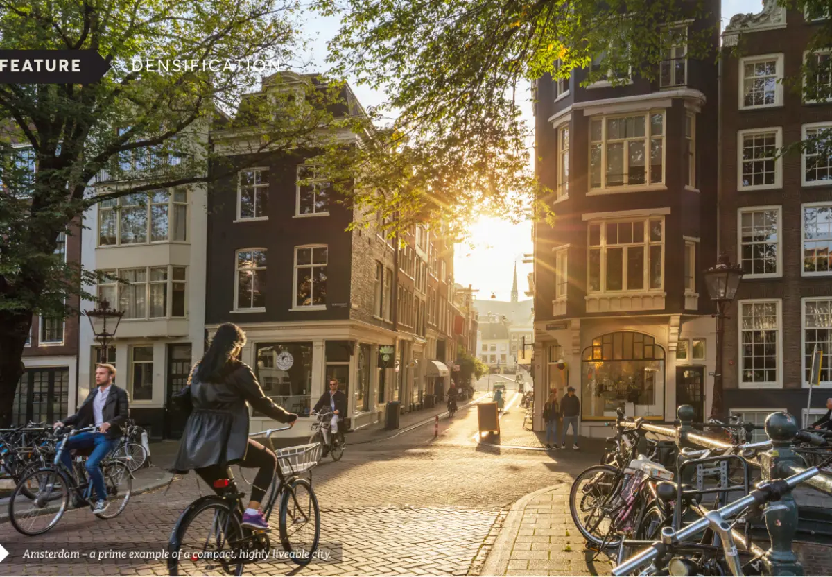 Photograph showing people riding bicycles along a tree‑lined city street with multi‑storey buildings on both sides