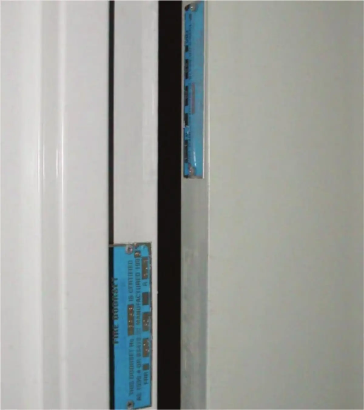 Photograph showing the edge of a door and frame with fire tags fixed to both