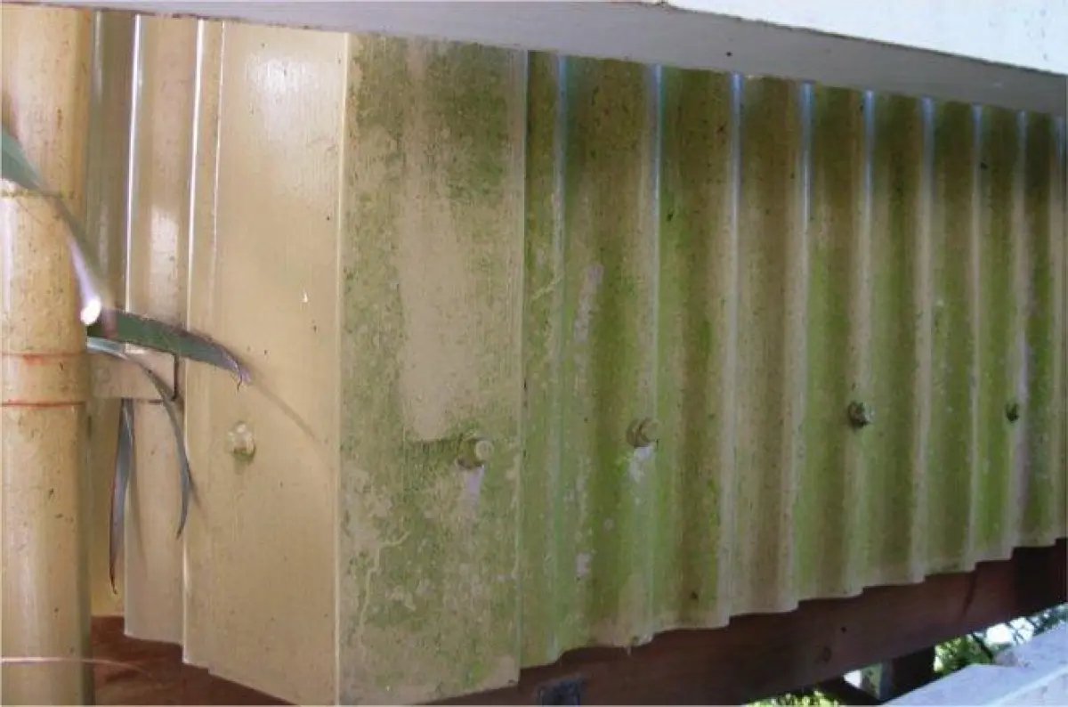 moss growing on the side of corrugated iron