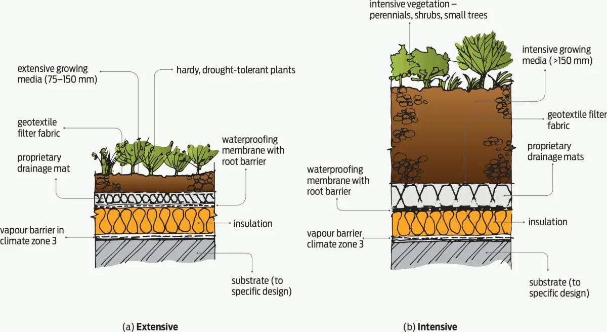 A diagram cross section of a typical warm green roof construction