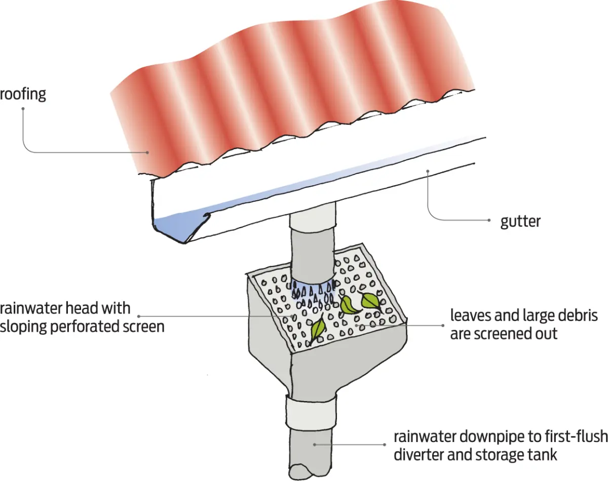 Diagram showing a roof gutter and downpipe with a rainwater head fitted with a perforated screen to trap leaves and debris