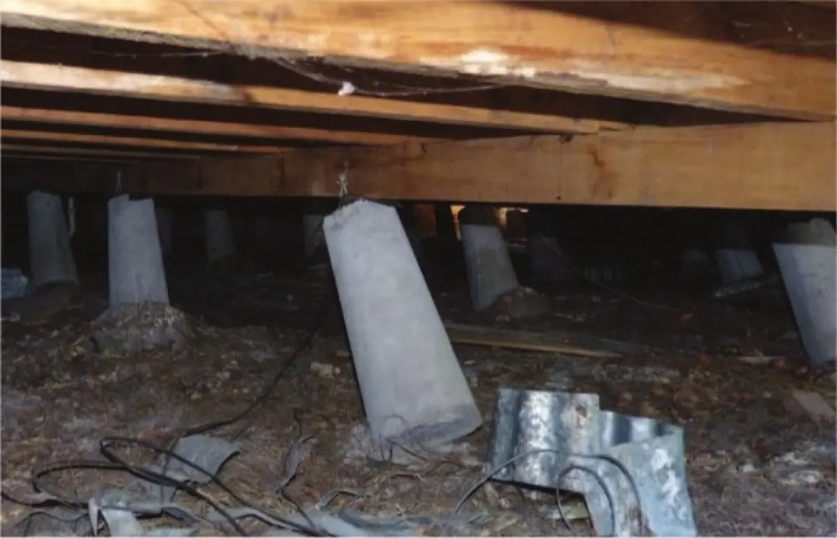 Photograph showing the underside of a timber house with concrete piles tilted at angles beneath the floor framing