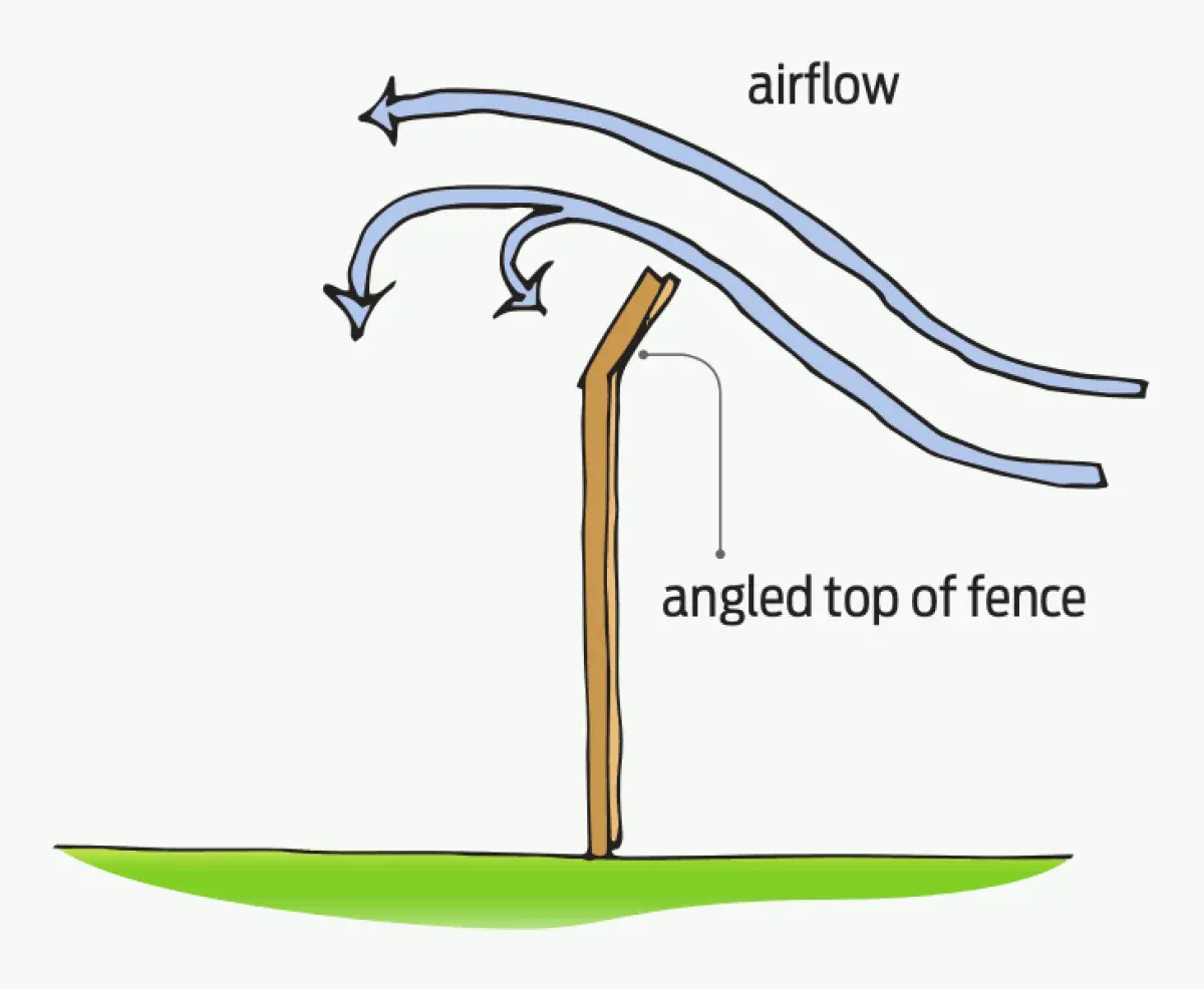 A diagram of wind blowing over a fence with an angled top thus stopping an eddy from forming
