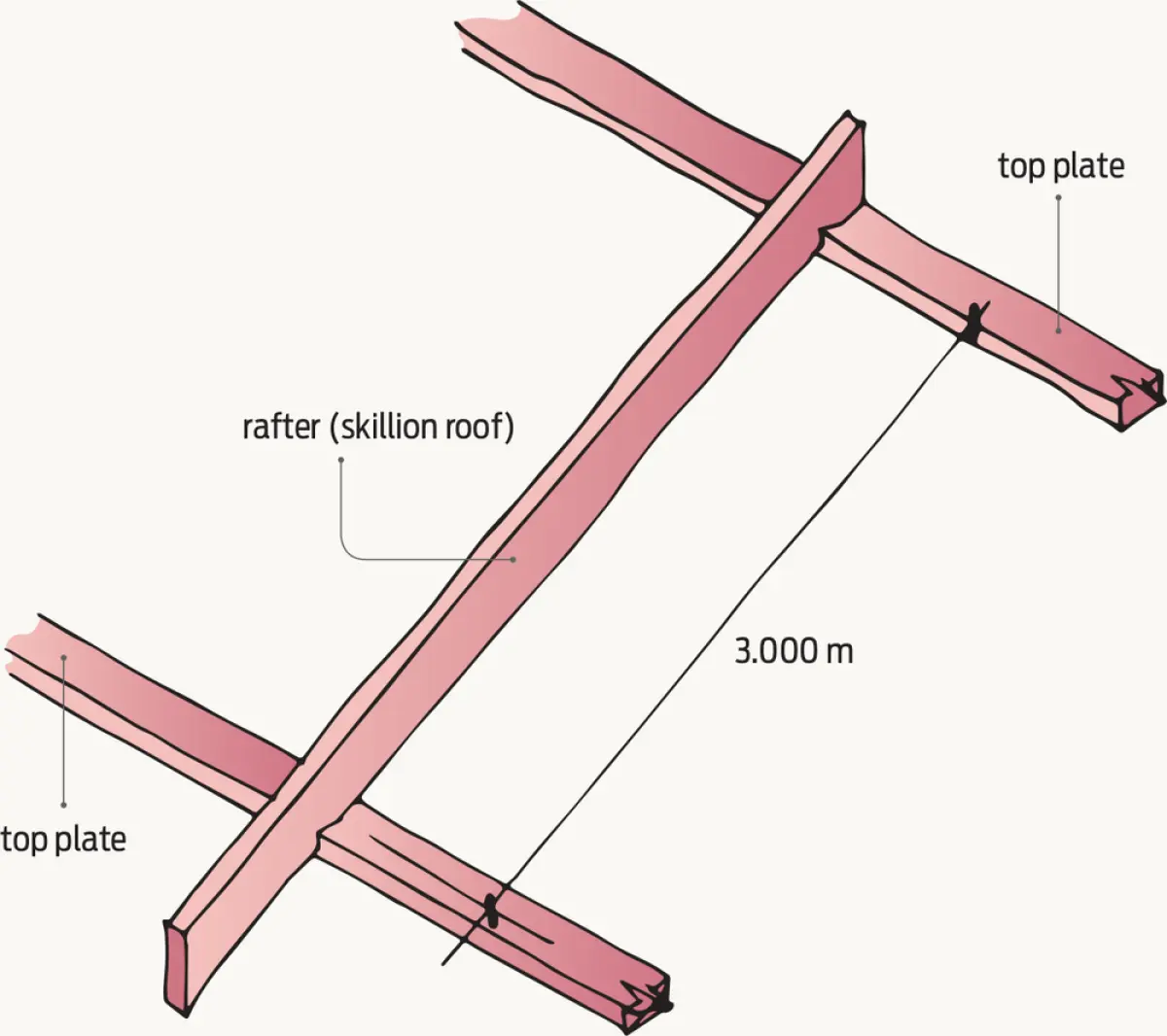 a simple diagram of a single span rafter and skillion roof