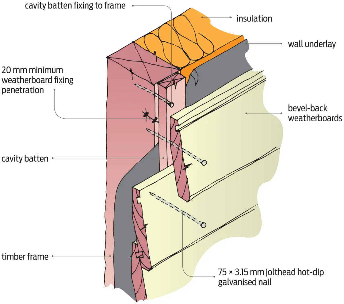 Diagram showing how bevel‑back weatherboards are fixed to a cavity batten on a timber frame