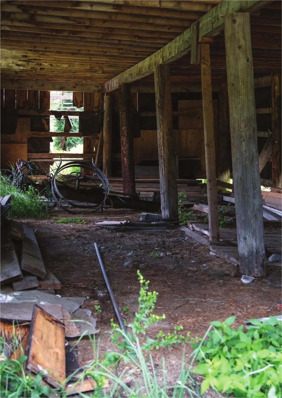 Photograph showing the underside of a timber building with wooden piles, beams, and a dirt ground floor
