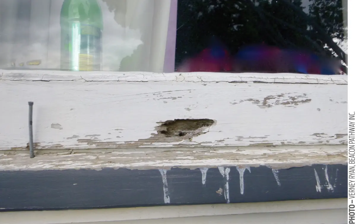 Photograph showing a painted timber window sill with peeling paint and an area of visible wood damage