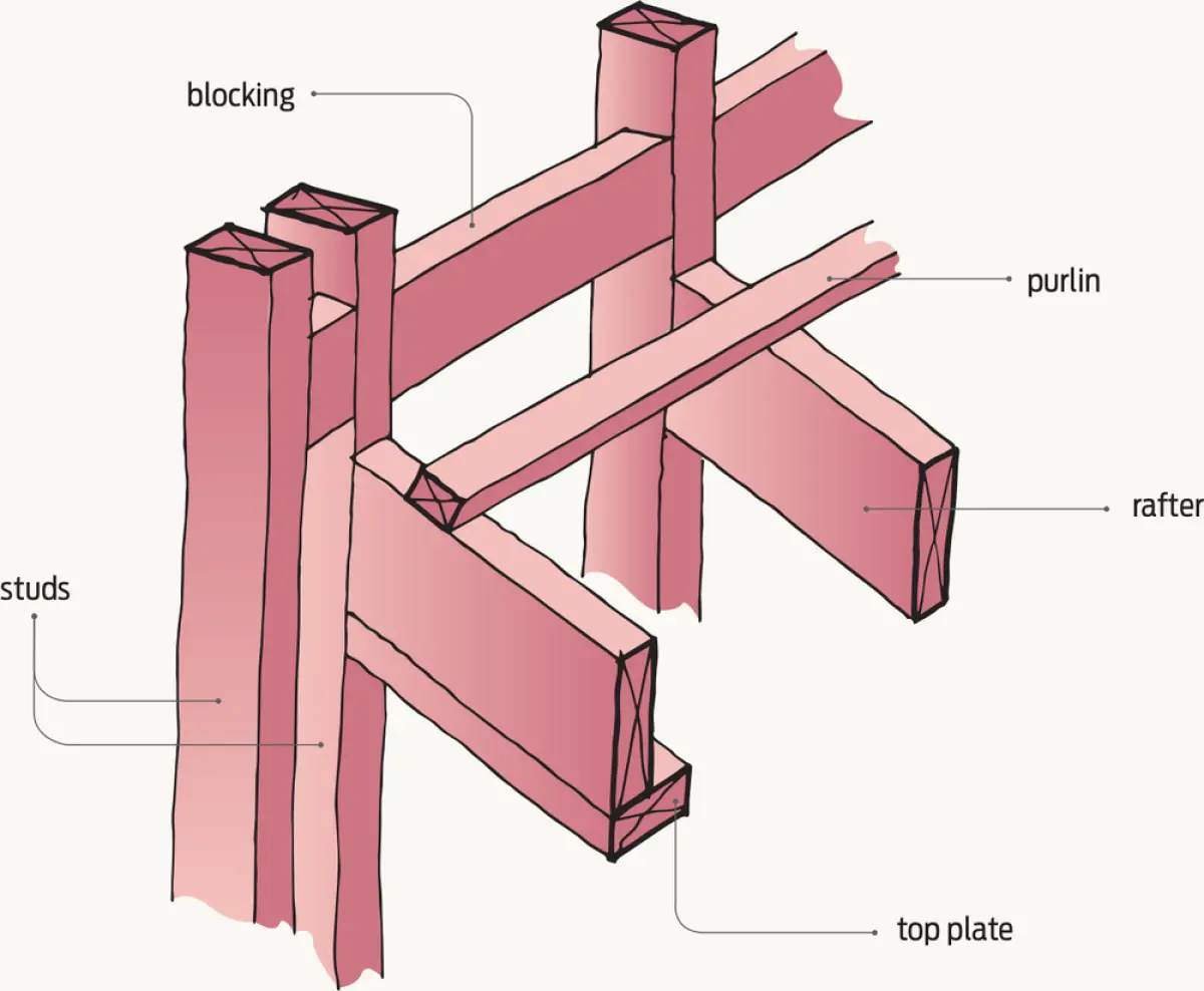 Diagram showing timber wall studs and a top plate with roof rafters and a purlin connected by blocking