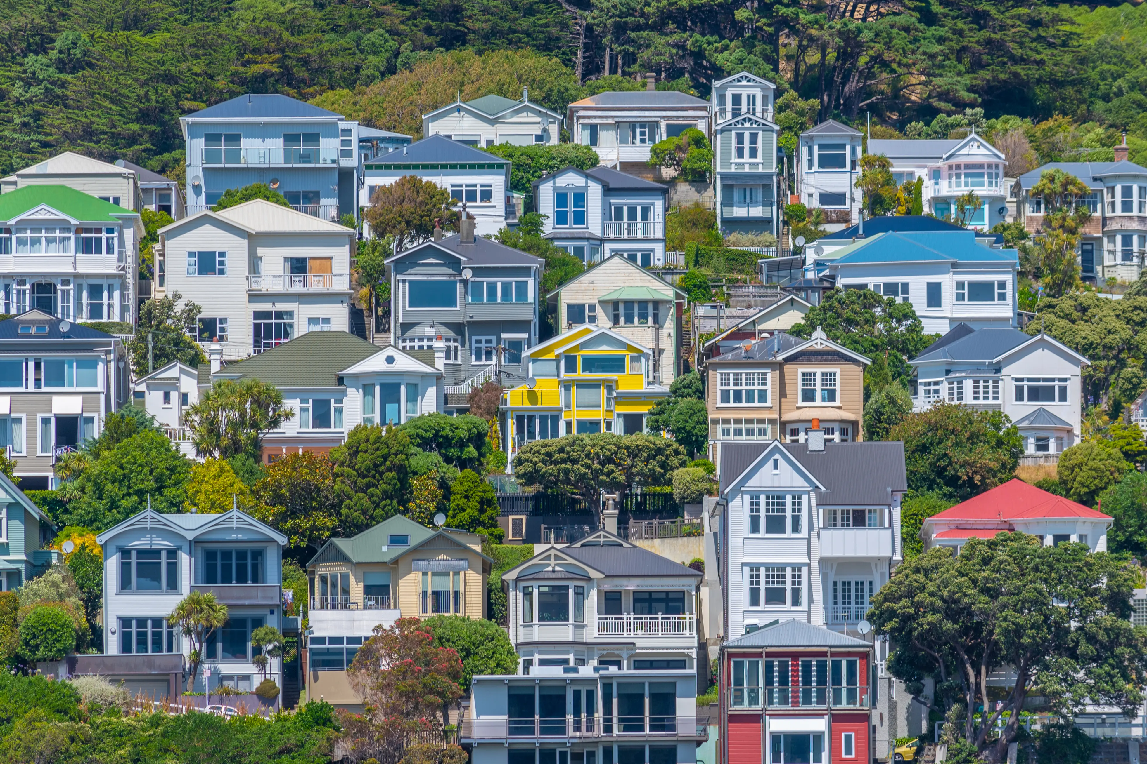 What’s corroding Aotearoa’s houses?
