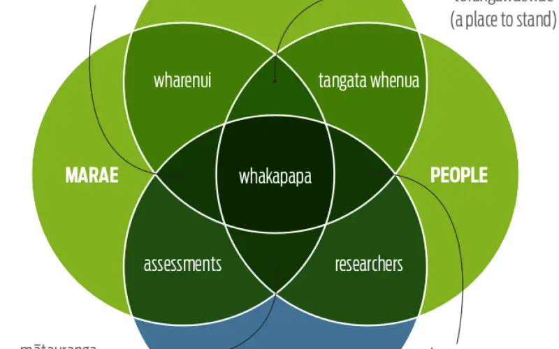 Database to help resilience of wharenui