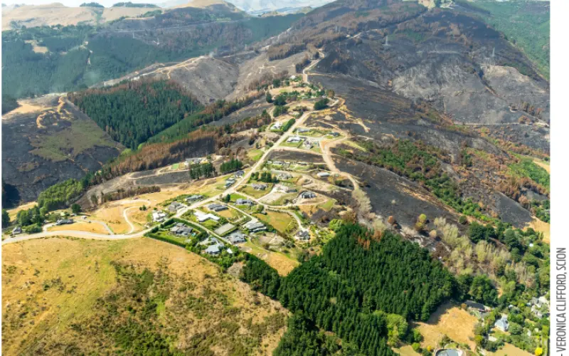 Building today for a wildfire future
