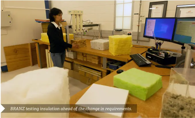 Housing insulation upgrade extension