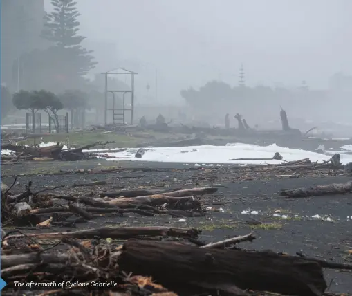 Building back better in a changing climate