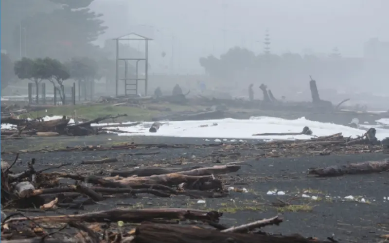 Building back better in a changing climate