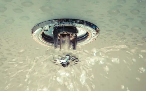 Automatic sprinklers – perception and reality