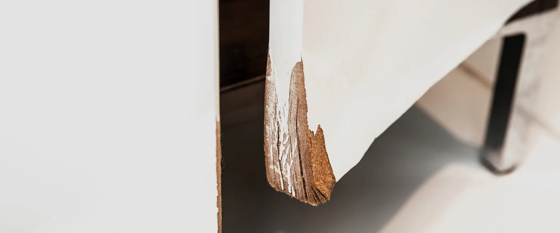 Flood-resilient homes