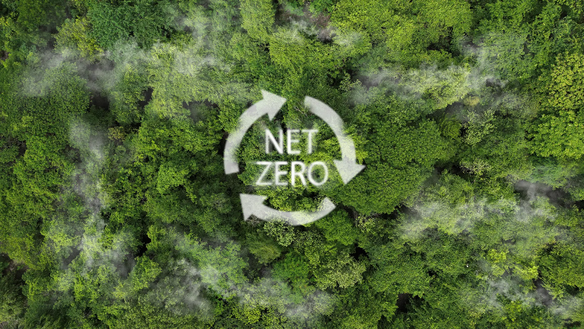 Designing to achieve net zero