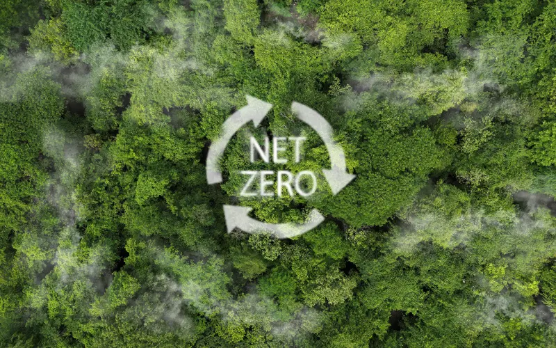 Designing to achieve net zero