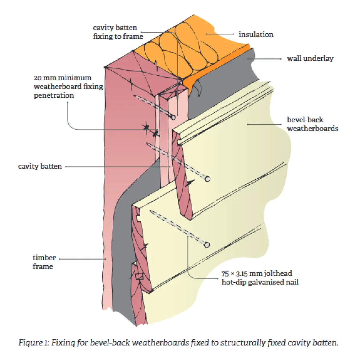 Diagram showing bevel‑back weatherboards fixed to vertical cavity battens over wall framing, with wall underlay and insulation behind