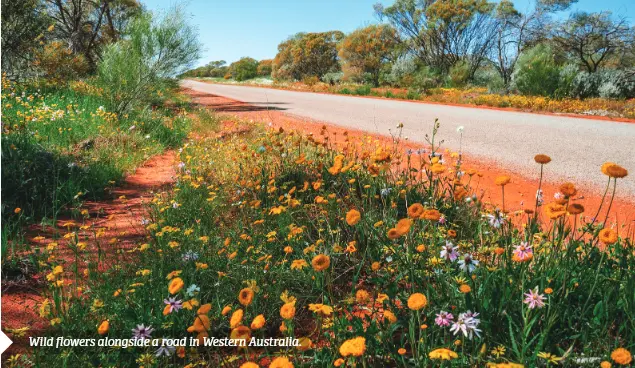 Nature-positive infrastructure