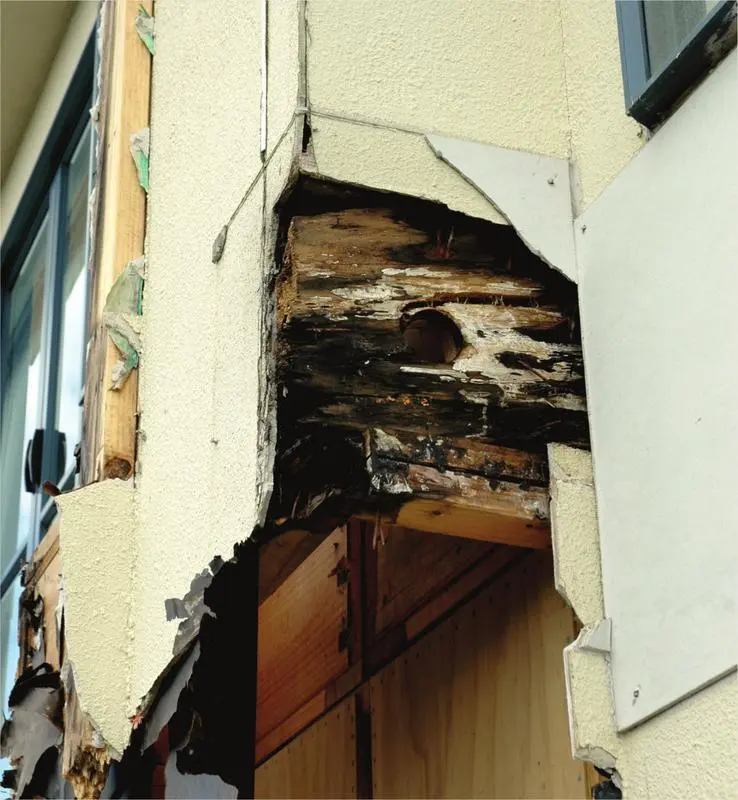 Remediation of leaky buildings