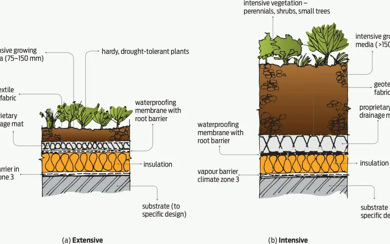 The gen on green roofs