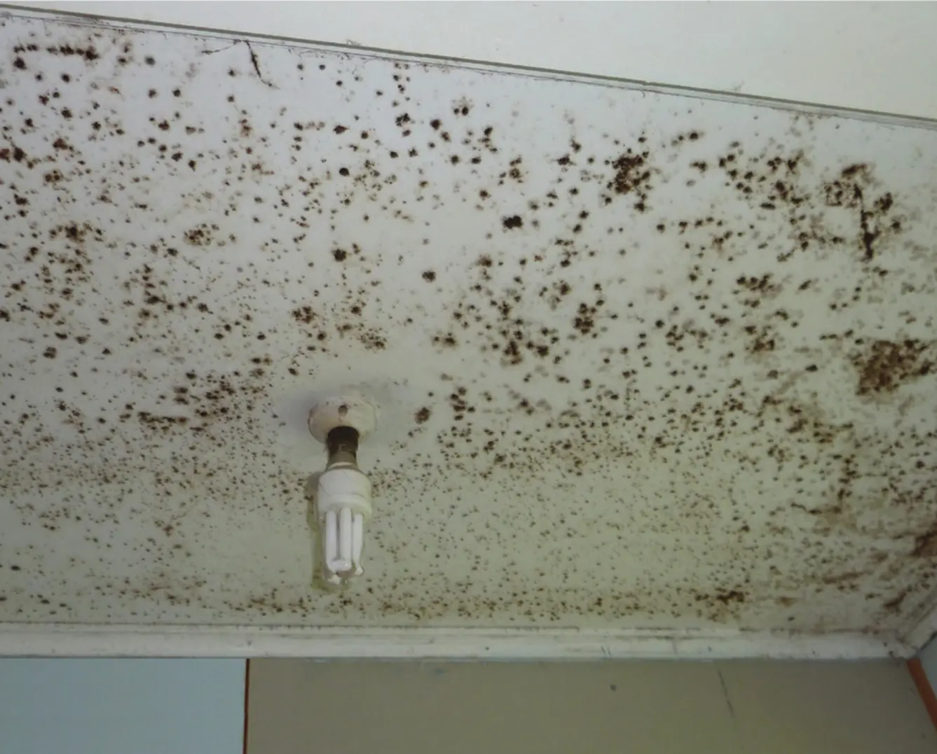 Dealing with internal moisture