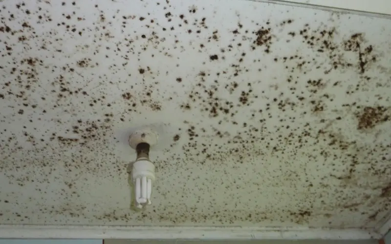Dealing with internal moisture
