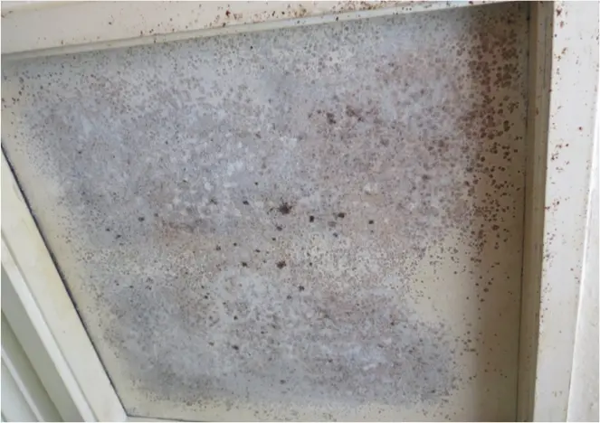 House condition matters