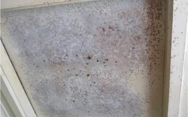 House condition matters