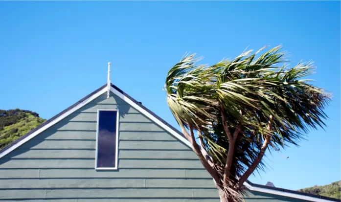 Wind noise in buildings