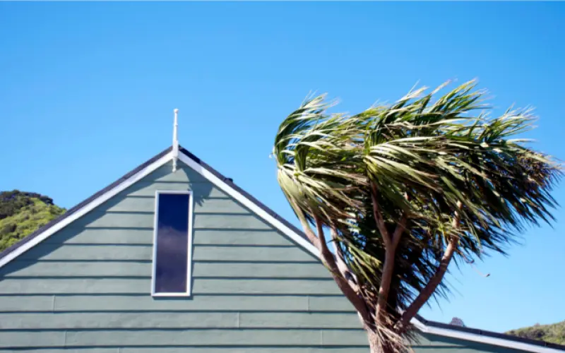 Wind noise in buildings