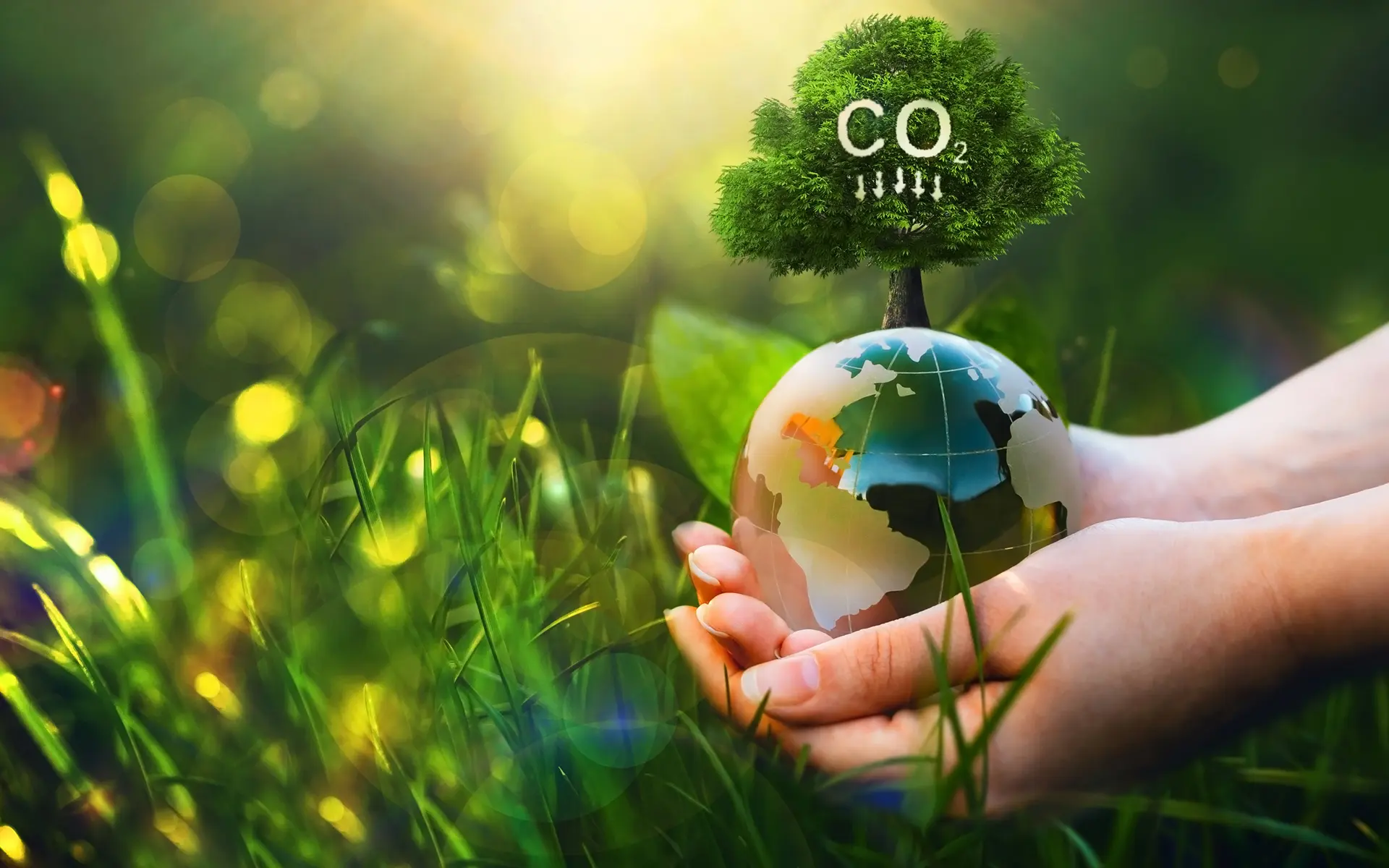 Clever design for a low-carbon future