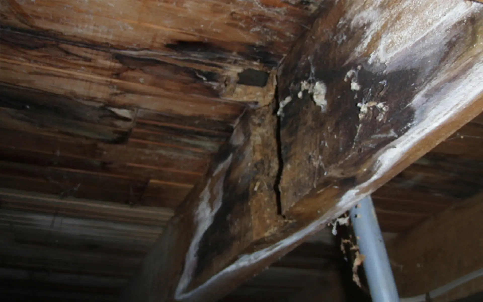 Common maintenance issues