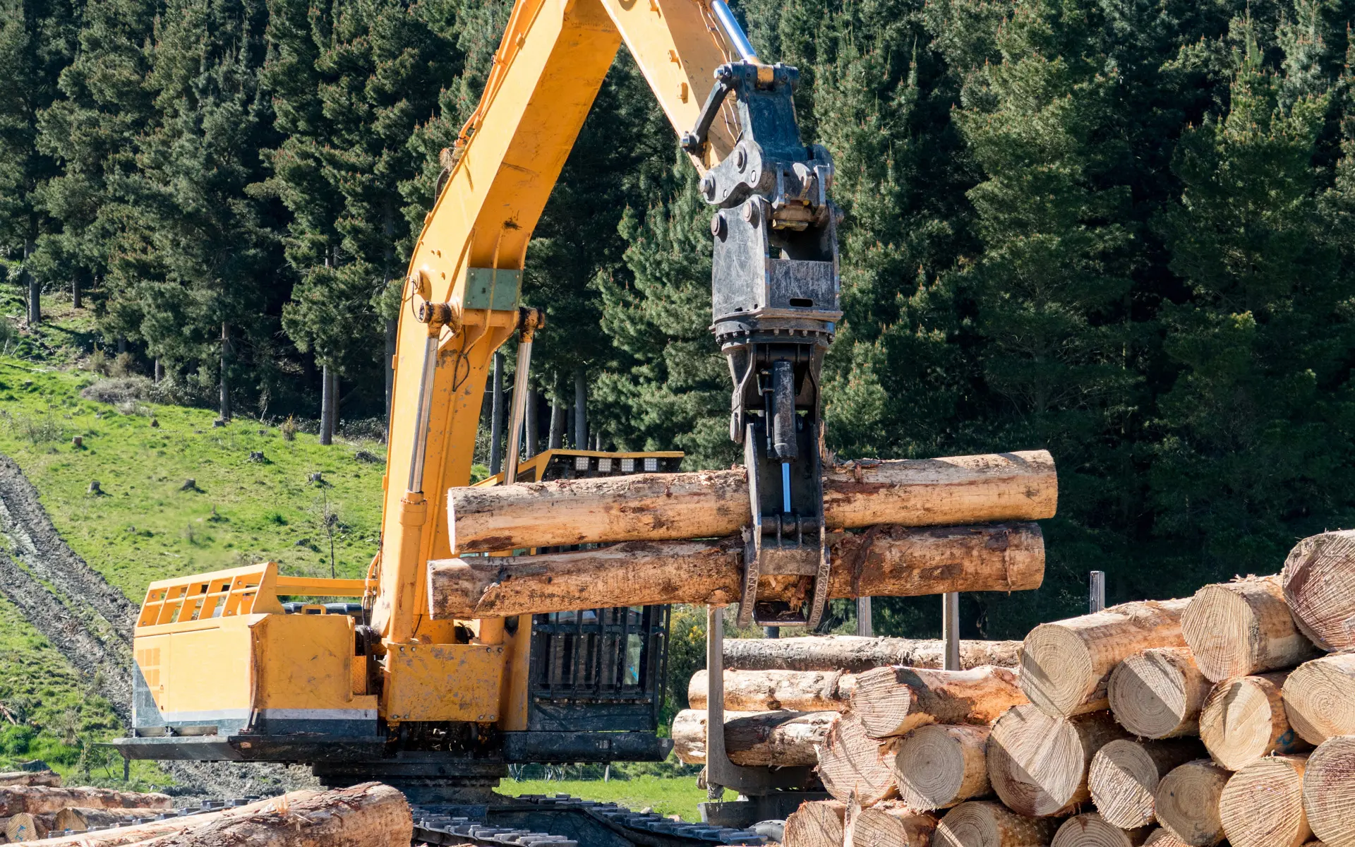 Much ado about biogenic carbon