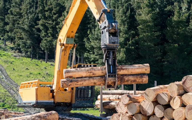 Much ado about biogenic carbon