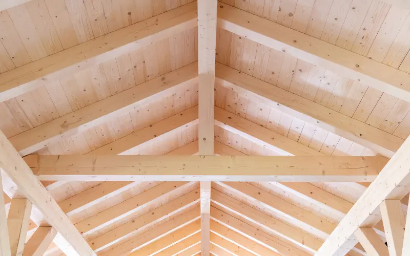 Rafter fixings