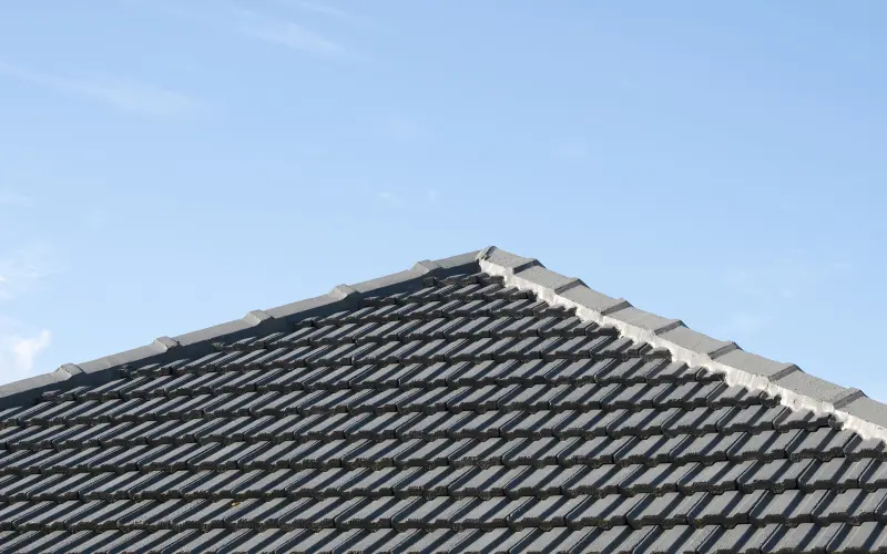 Roof bracing