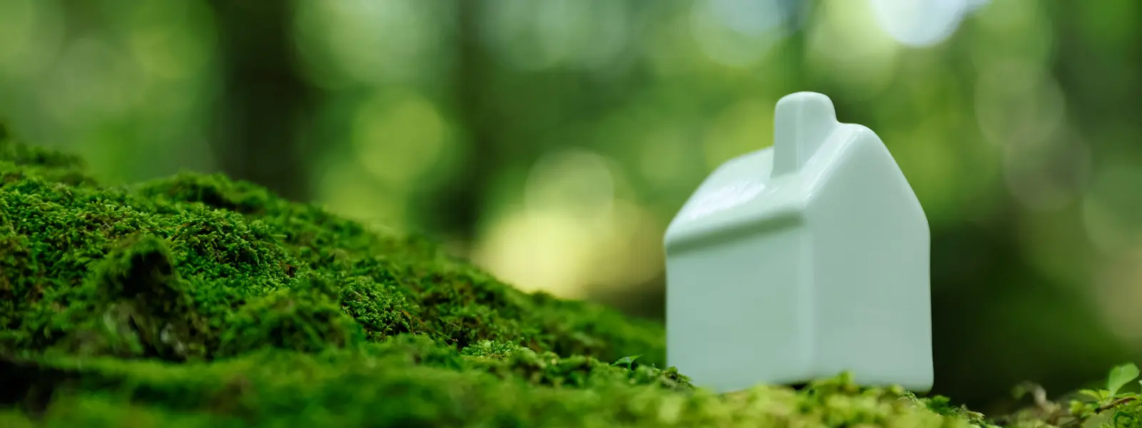 Low‑carbon & circular solutions