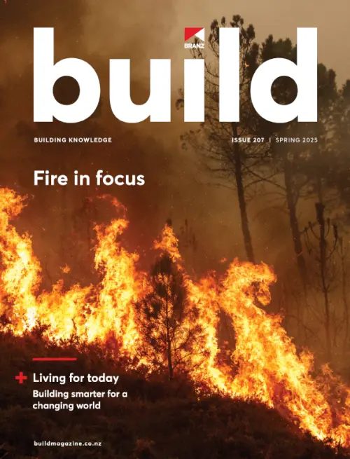 Build 207 Fire in focus Cover