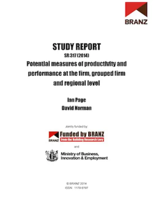 Image of potential measures of productivity and performance at the firm, grouped firm and regional level.