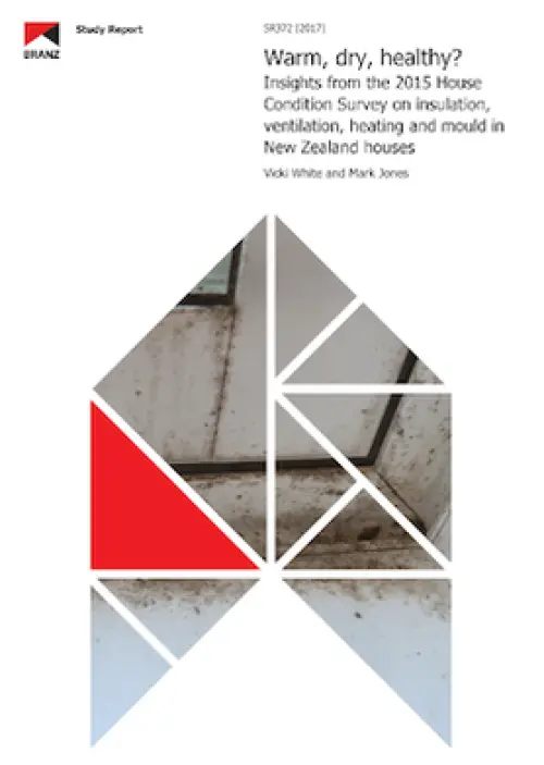 Image of Warm, dry, healthy? Insights from the 2015 House Condition Survey